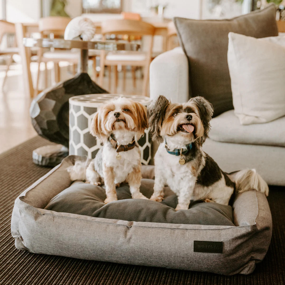 Huntlea Urban Bolster Dog Bed – JustforPets
