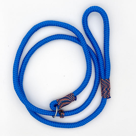 Slip Lead for Dogs Large