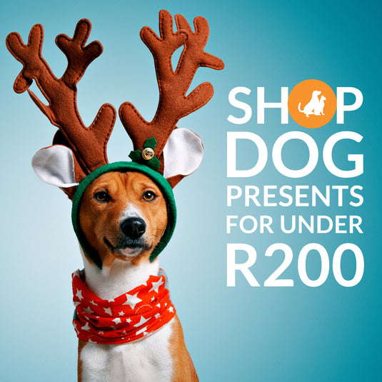 Select DOG Christmas Gifts under R200