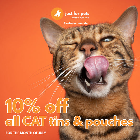 Cat Cans & Pouches