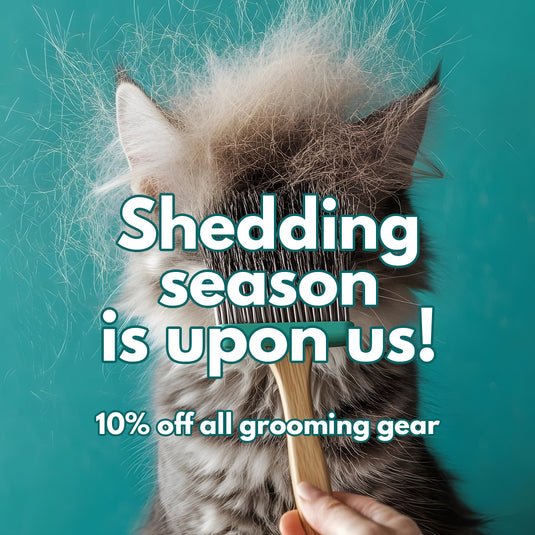 All Grooming Tools