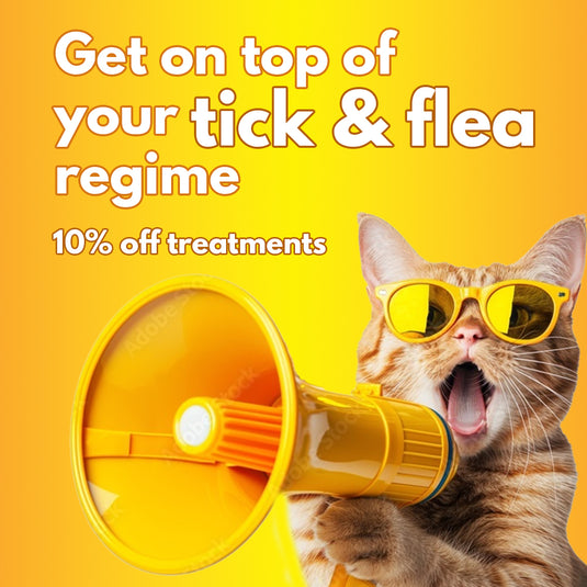 Tick and Flea Treatments