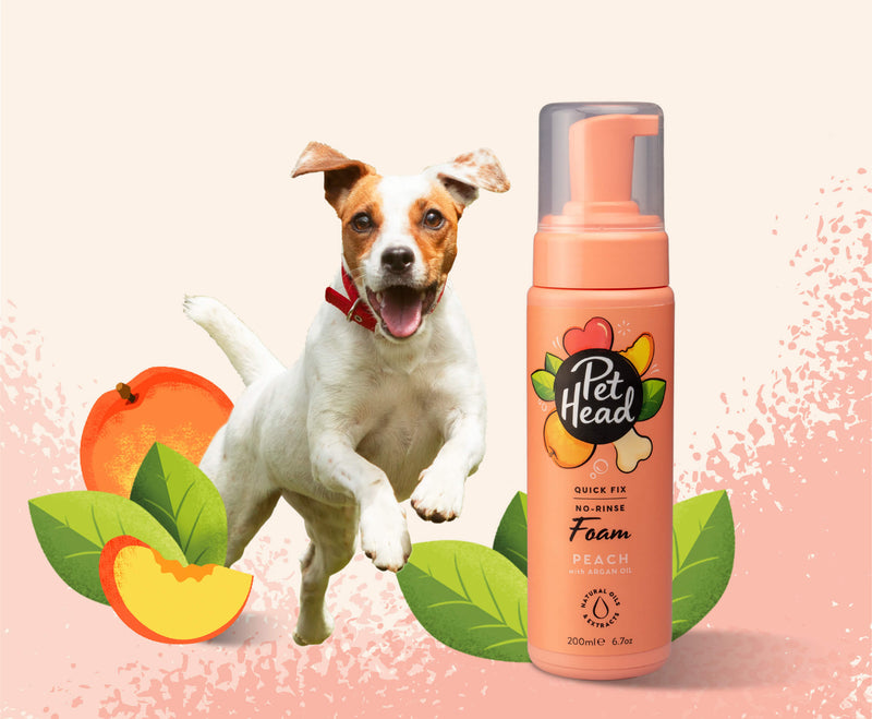 Load image into Gallery viewer, Pet Head Quick Fix No-Rinse Peach Foam
