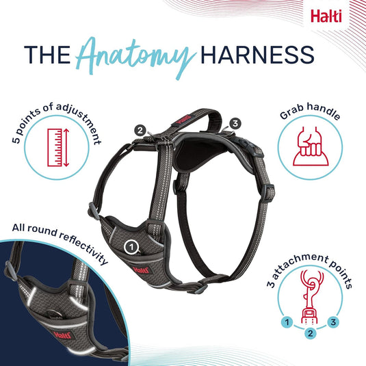 HALTI Anatomy Dog Harness