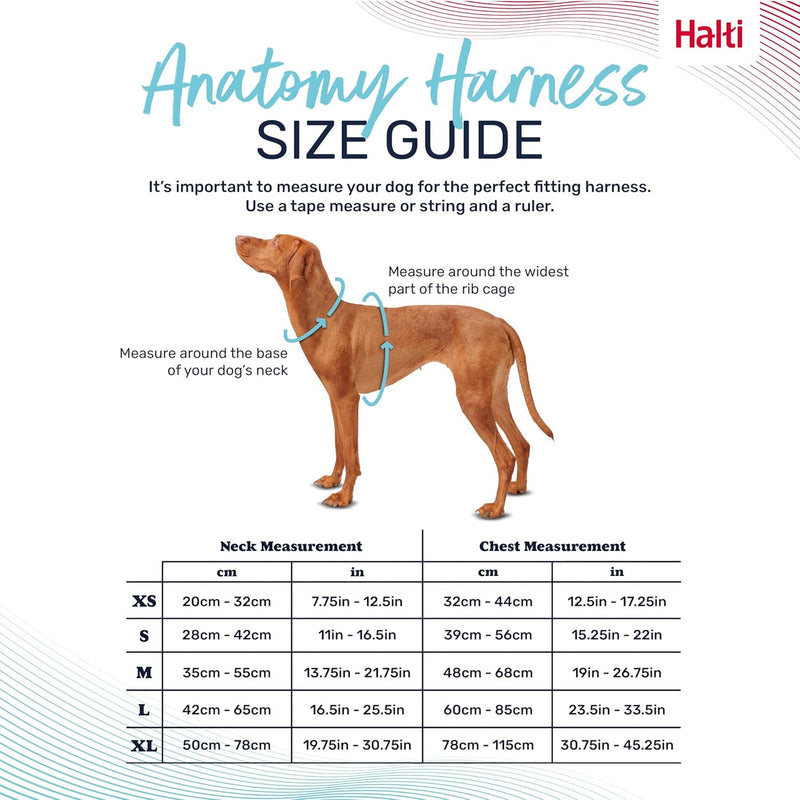 Load image into Gallery viewer, HALTI Anatomy Dog Harness
