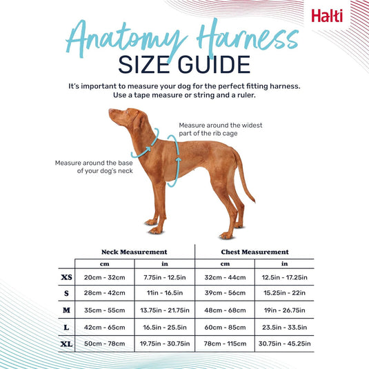 HALTI Anatomy Dog Harness