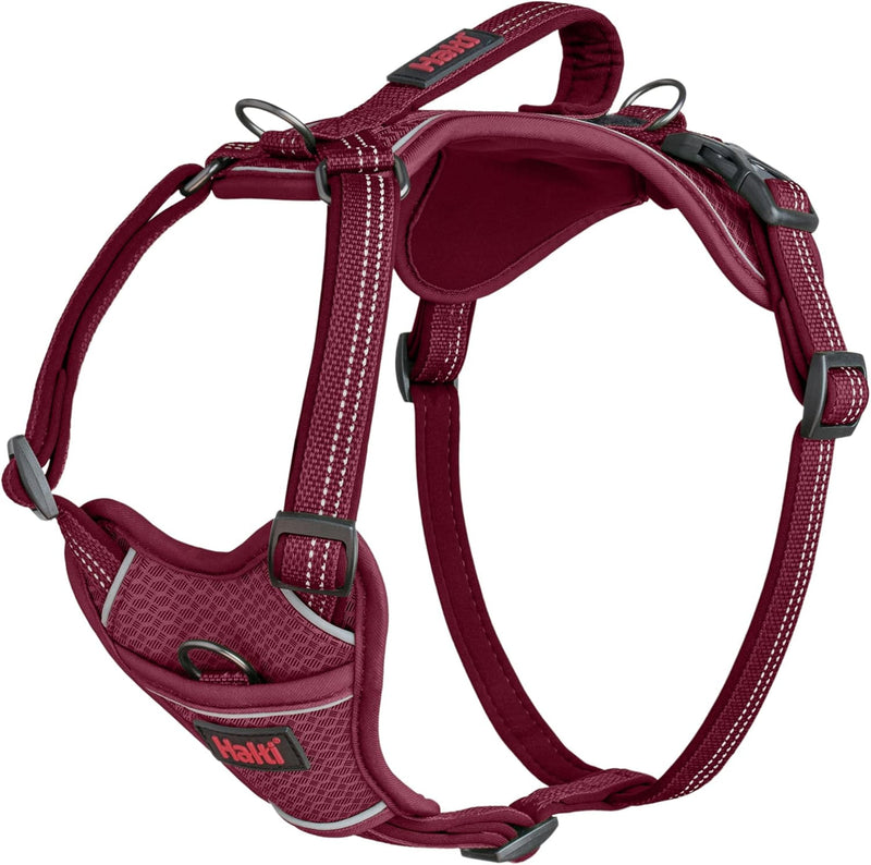 Load image into Gallery viewer, HALTI Anatomy Dog Harness
