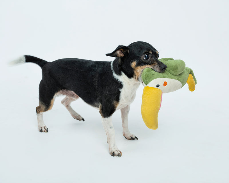 Load image into Gallery viewer, Zugo Plush Dog Toy - Parrot
