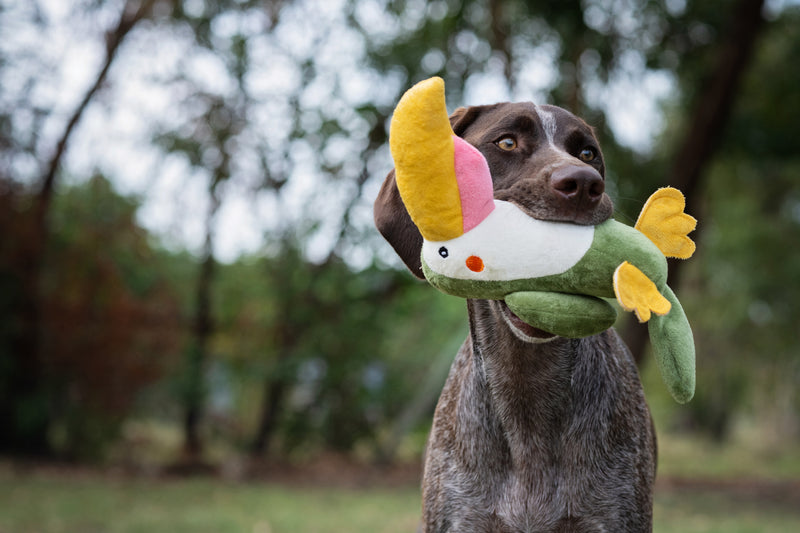 Load image into Gallery viewer, Zugo Plush Dog Toy - Parrot
