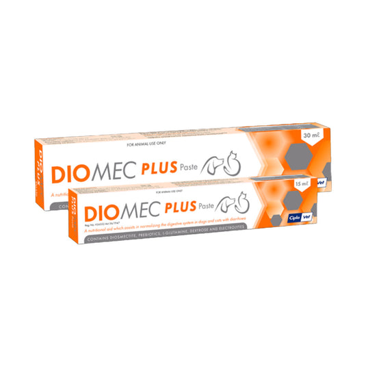 Diomec Plus Paste for Dogs Cats & Horses