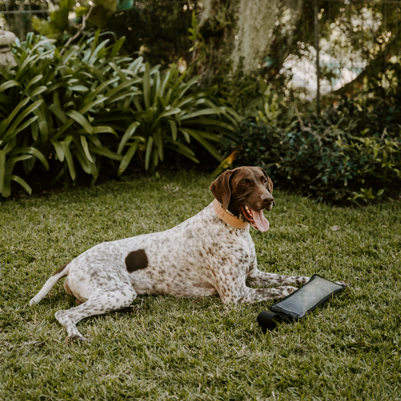 Load image into Gallery viewer, Huntlea Duplex Dog Toy With Handle
