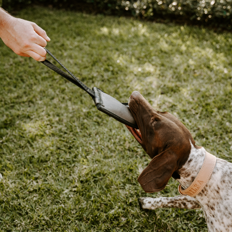 Load image into Gallery viewer, Huntlea Duplex Dog Toy With Handle
