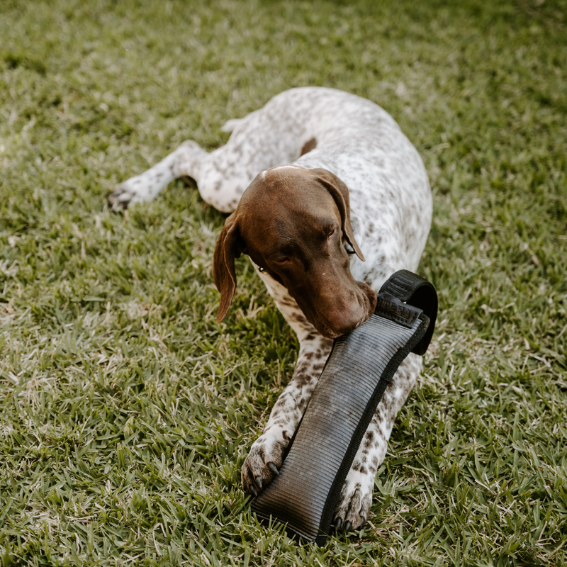 Load image into Gallery viewer, Huntlea Duplex Dog Toy With Handle
