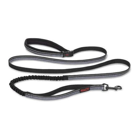 Company of Animals Halti Active Bungee & Hands-Free Lead