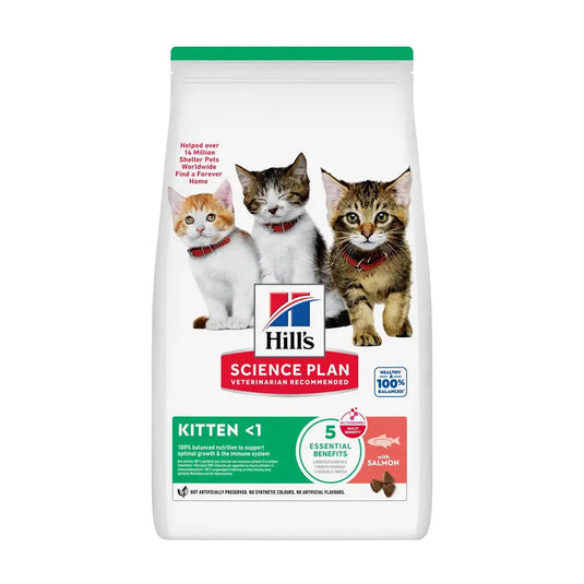 Hills Science Plan Kitten<1 Salmon