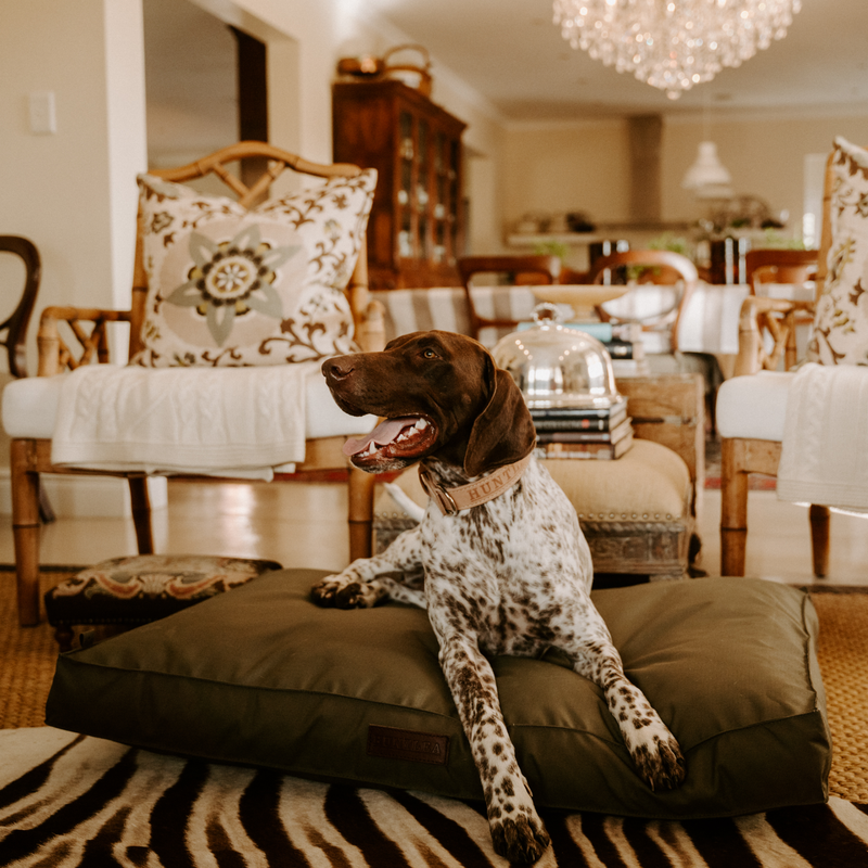 Load image into Gallery viewer, Huntlea Kalahari Orthopaedic Dog Bed

