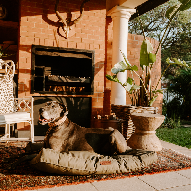 Load image into Gallery viewer, Huntlea Kalahari Orthopaedic Dog Bed
