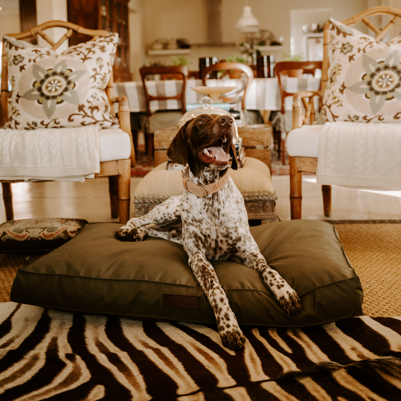 Load image into Gallery viewer, Huntlea Kalahari Orthopaedic Dog Bed
