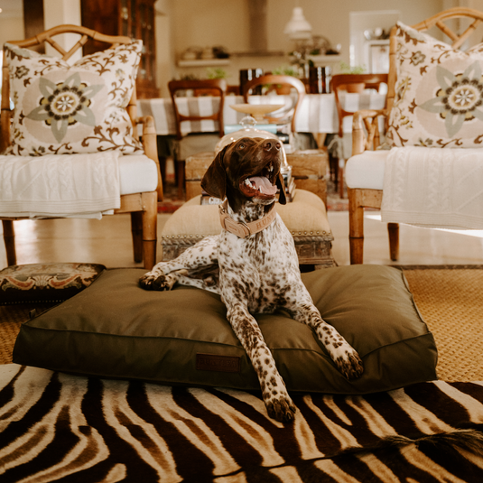 Huntlea Kalahari Orthopaedic Dog Bed