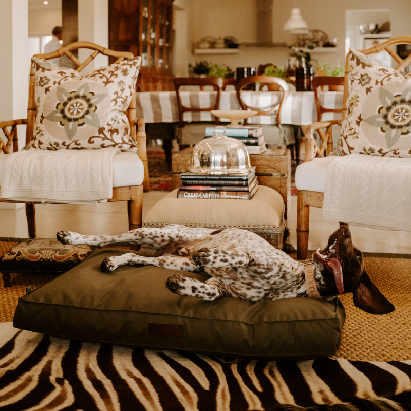 Load image into Gallery viewer, Huntlea Kalahari Orthopaedic Dog Bed
