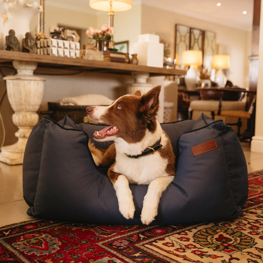 Huntlea Kalahari King Dog Bed