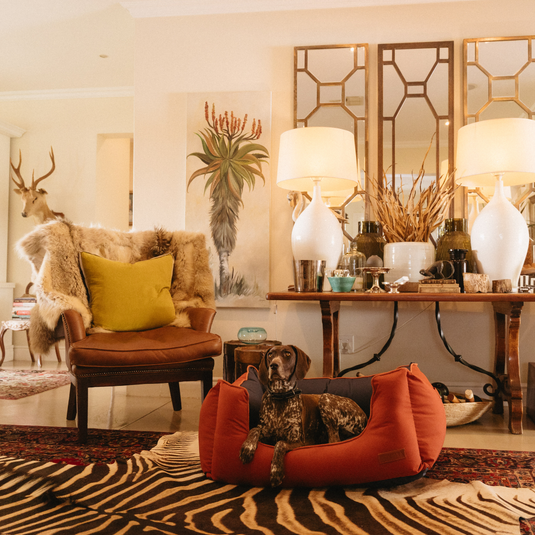 Huntlea Koletto Queen Dog Bed
