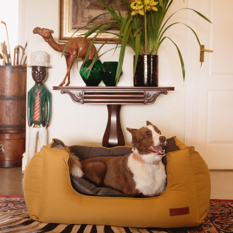 Load image into Gallery viewer, Huntlea Koletto Queen Dog Bed
