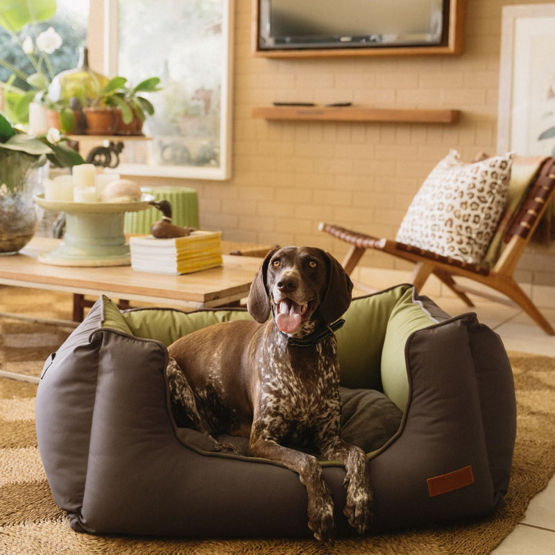 Load image into Gallery viewer, Huntlea Koletto Queen Dog Bed
