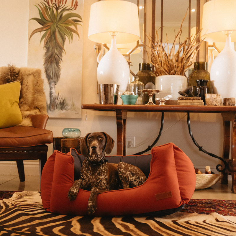Load image into Gallery viewer, Huntlea Koletto Queen Dog Bed
