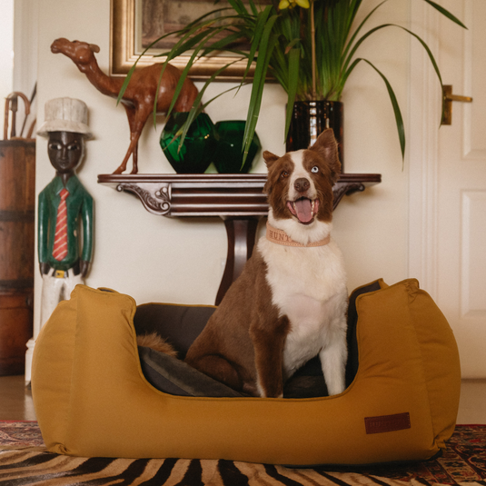 Huntlea Koletto Queen Dog Bed