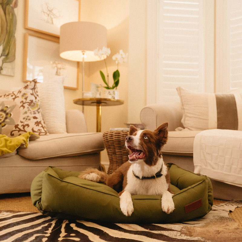 Load image into Gallery viewer, Huntlea Koletto Bolster Plain Dog Bed
