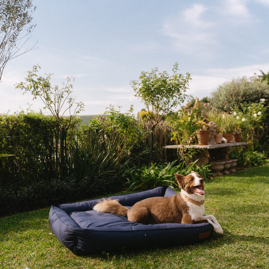 Huntlea Koletto Bolster Plain Dog Bed