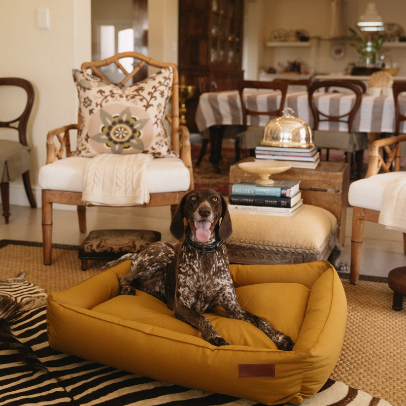 Load image into Gallery viewer, Huntlea Koletto Bolster Plain Dog Bed
