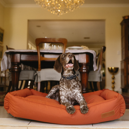 Huntlea Koletto Bolster Plain Dog Bed