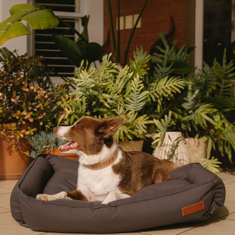 Load image into Gallery viewer, Huntlea Koletto Bolster Plain Dog Bed
