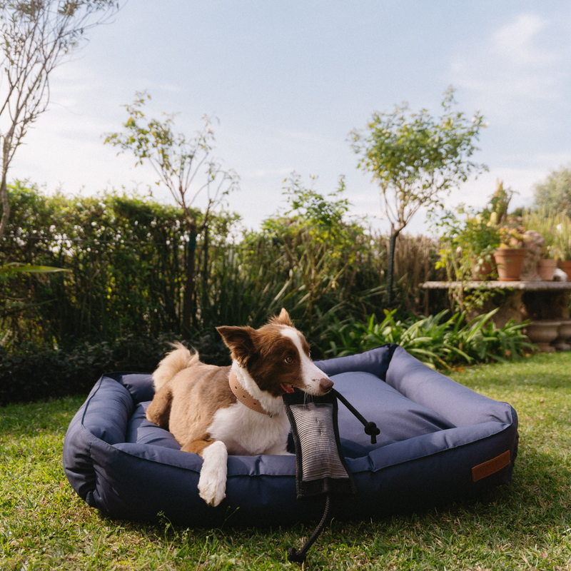 Load image into Gallery viewer, Huntlea Koletto Bolster Plain Dog Bed
