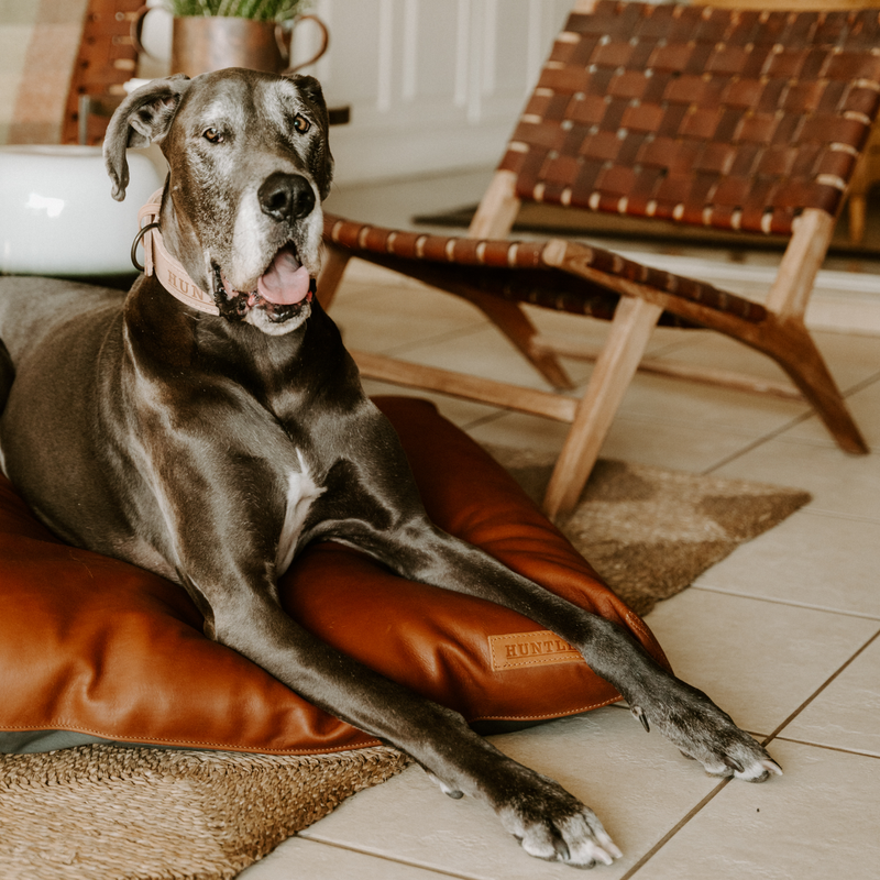 Load image into Gallery viewer, Huntlea Leather Luxury Napper Matlow Dog Bed
