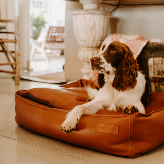Huntlea Leather Luxury Slumber Bolster Dog Bed JustforPets