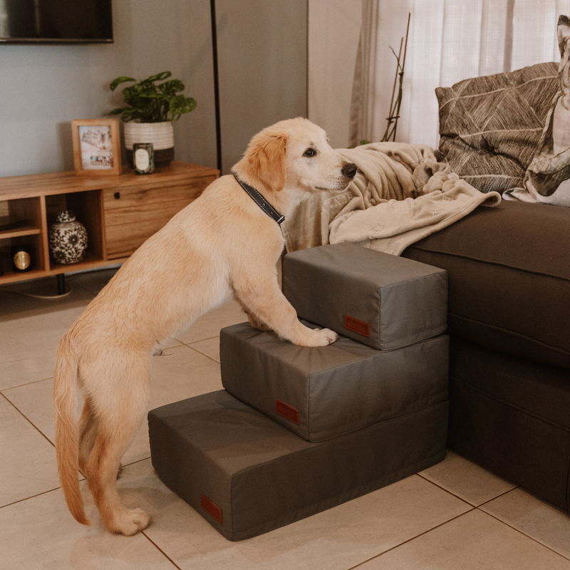 Load image into Gallery viewer, Huntlea Premium Dog Steps - 2 or 3 Step
