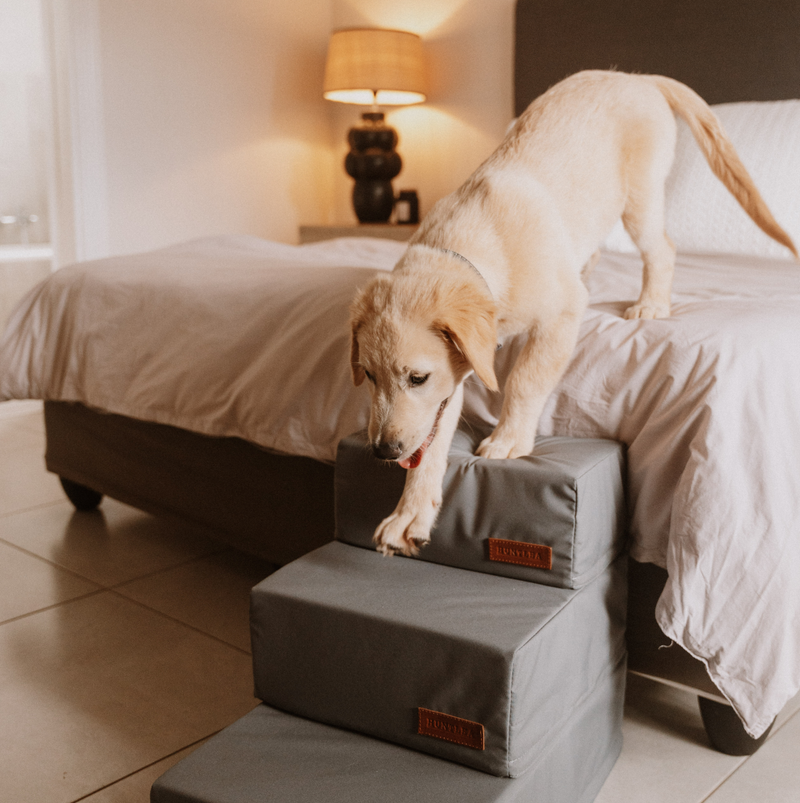 Load image into Gallery viewer, Huntlea Premium Dog Steps - 2 or 3 Step
