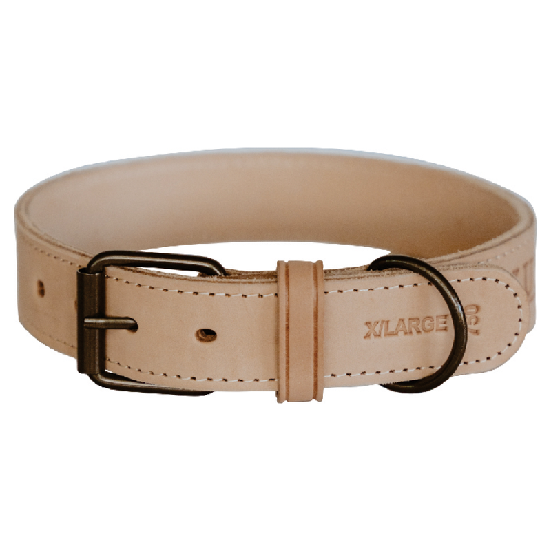 Load image into Gallery viewer, Huntlea Impala Mighty Plain Dog Leather Collar
