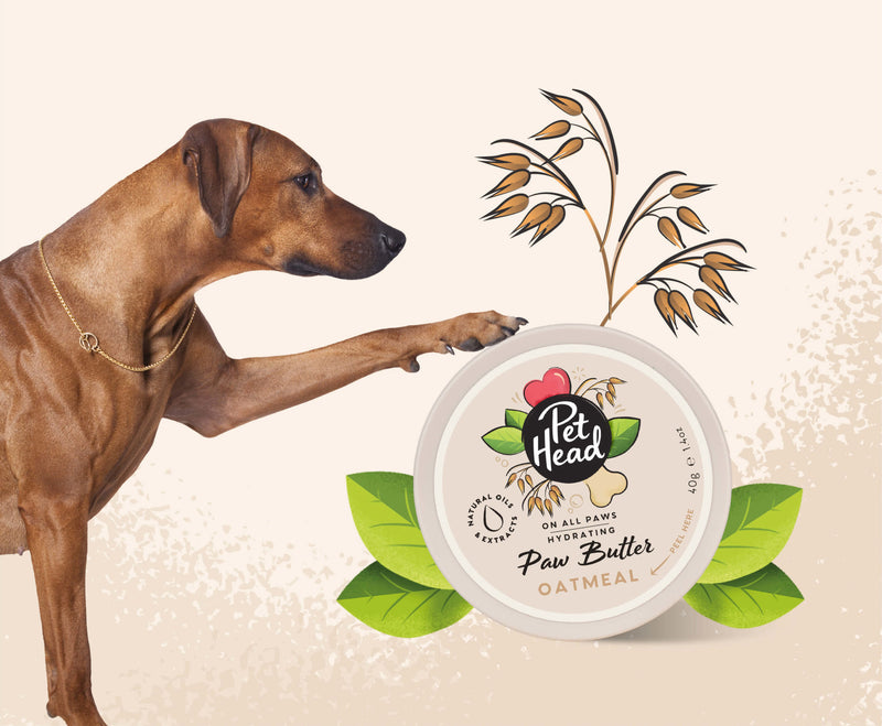 Load image into Gallery viewer, Pet Head On All Paws Hydrating Oatmeal Paw Butter
