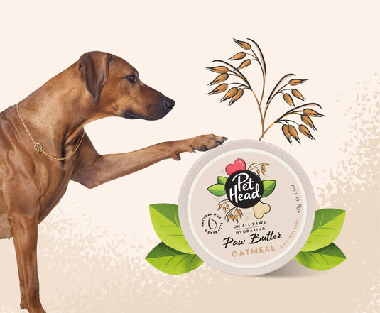 Pet Head On All Paws Hydrating Oatmeal Paw Butter