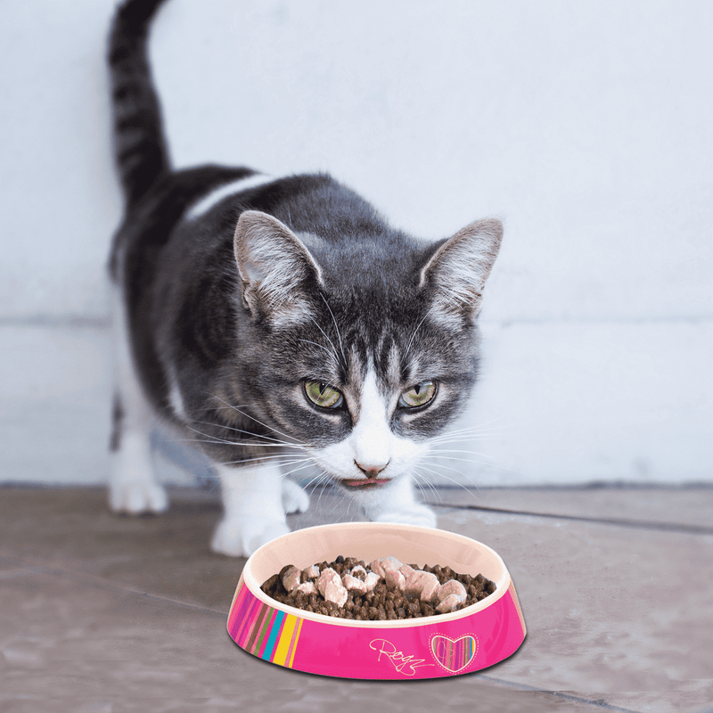 Load image into Gallery viewer, Rogz Catz Fishcake Melamine Bowl
