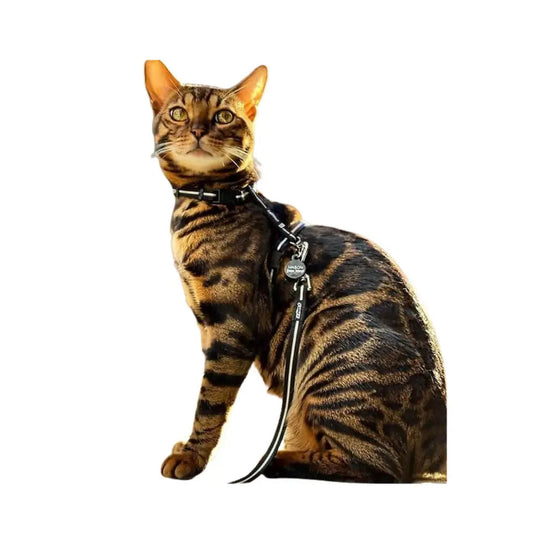 Rogz Alleycat Harness and Lead (Reflective)