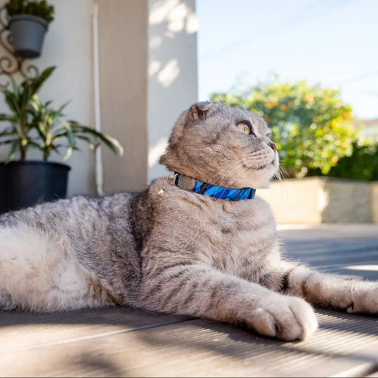 Rogz FusionCat Safety Release Collar