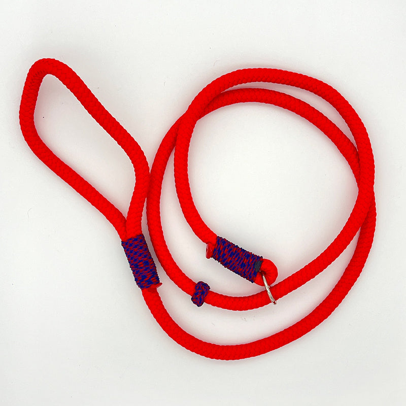Load image into Gallery viewer, Slip Lead for Dogs Large
