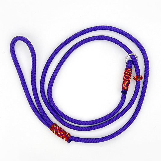 Slip Lead for Dogs Small