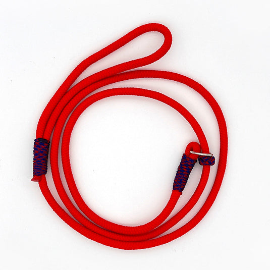 Slip Lead for Dogs Small