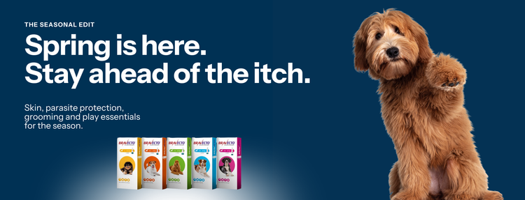 A promotional banner for pet care featuring a fluffy golden-brown dog on the right and four small pet product boxes on the bottom left, set against a dark blue background with the headline 'Spring is here. Stay ahead of the itch. Tick and flea. Bravecto 